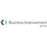 Business Improvement Group Logo
